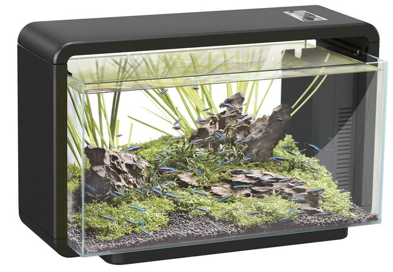 Aquariums zonder meubel Superfish Home 25 Aquarium Zwart